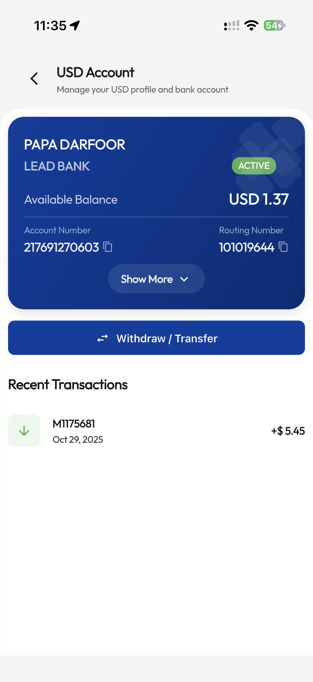Show USD Account overview